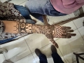 GAC-mehandi-competition5