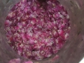 IMG-20250524-WA0013