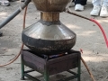 IMG-20250524-WA0014