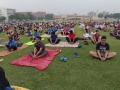 Yoga day 21 june 2019 celebrations (7)